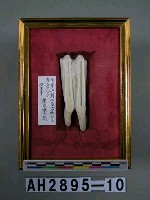 藏品(牛牙毫芒雕刻)的圖片